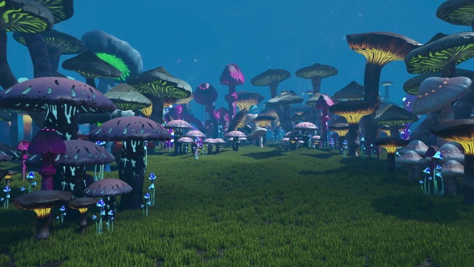 梦幻蘑菇 蘑菇世界 奇幻蘑菇森林