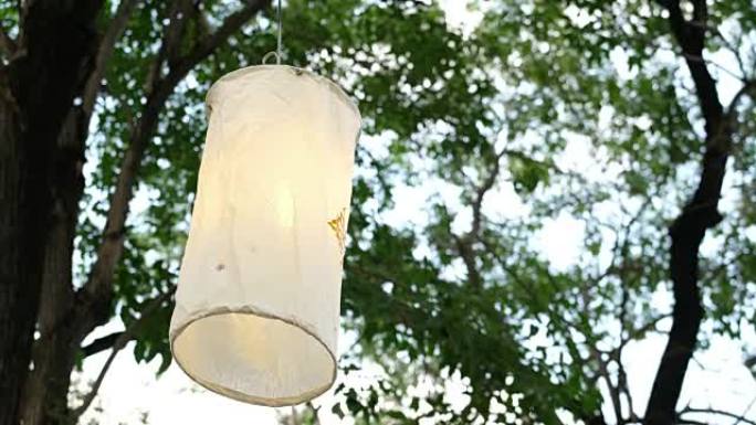 仰望泰国纸灯笼灯挂在树上随风吹动