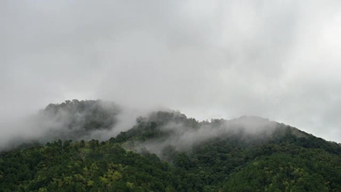 泰国北部下雨后有雾的山景