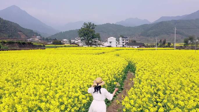 4K 行走在婺源十堡村大片油菜花海