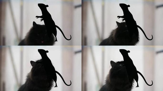 一只猫吃了一只彩绘的老鼠