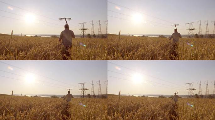 一个农民的宽镜头穿过麦田，在4k日出时