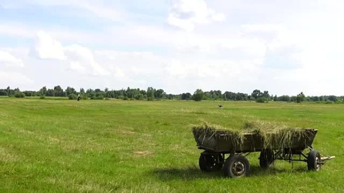 一辆刚割草的手推车正站在草地上。