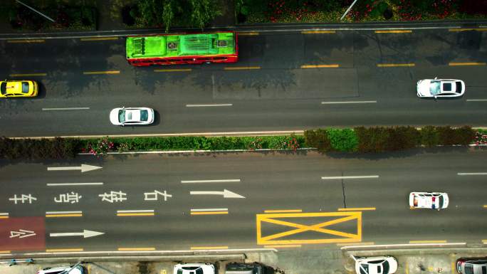 T0331重庆道路绿化带 鹅岭街道 车流