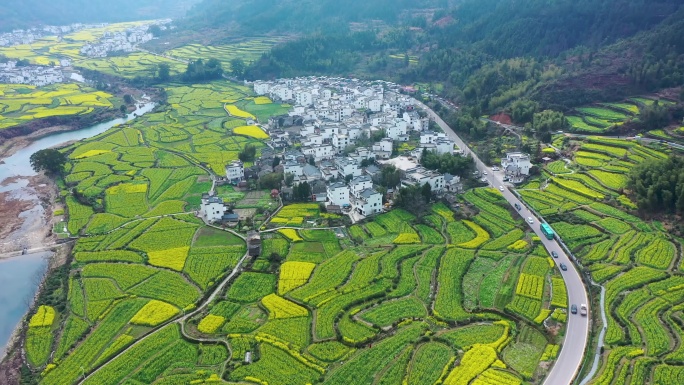 航拍江西省婺源江岭景区油菜花花海风景