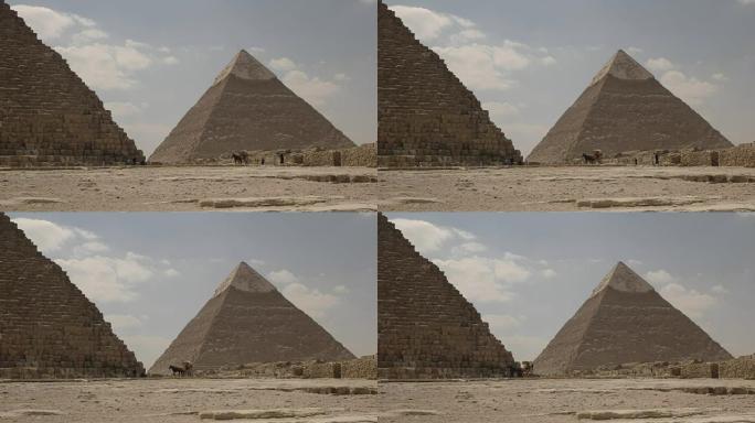 埃及开罗附近的马车和哈夫雷金字塔