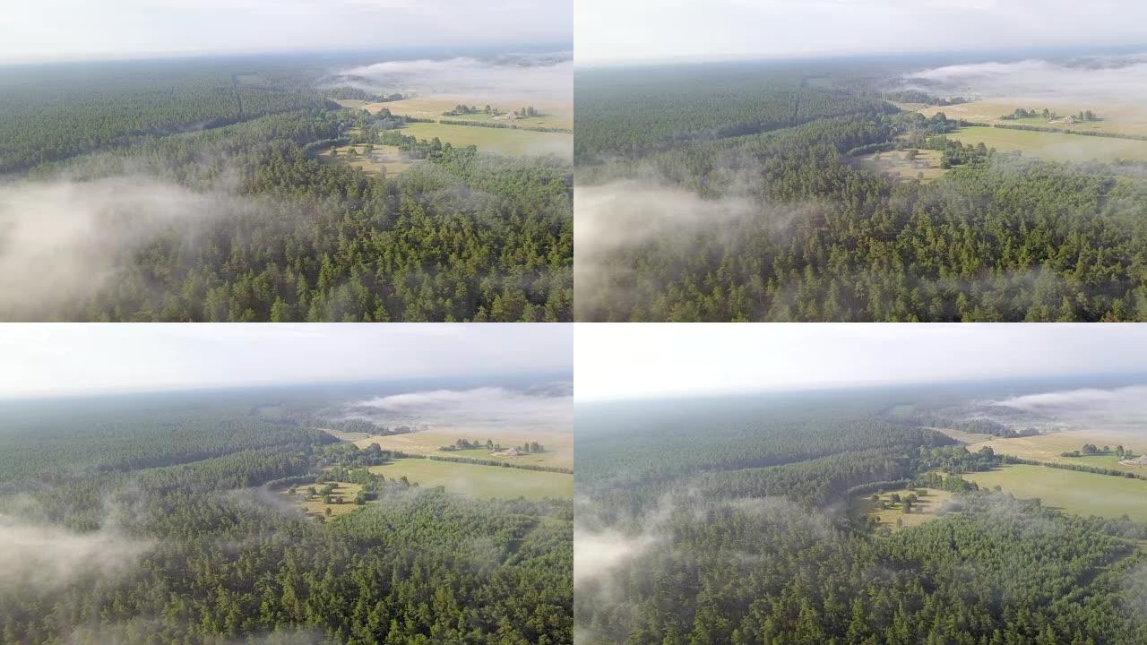 拉脱维亚乡村小径上的薄雾日出鸟瞰图