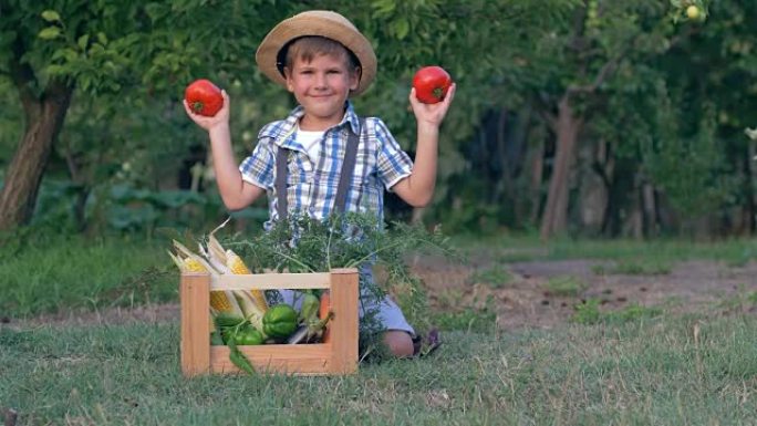 秋收，孩子在花园里用蔬菜在木箱附近的相机上玩西红柿