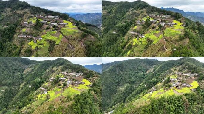 新安江边的山村