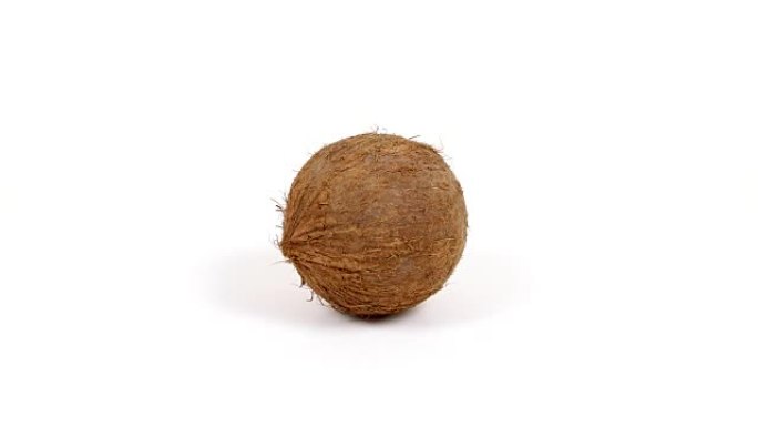 一个成熟的整个热带椰子在白色背景上旋转。热带水果。孤立的，可循环的