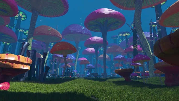 梦幻蘑菇 蘑菇世界 蘑菇森林