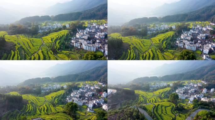 航拍江西省婺源江岭景区油菜花花海风景