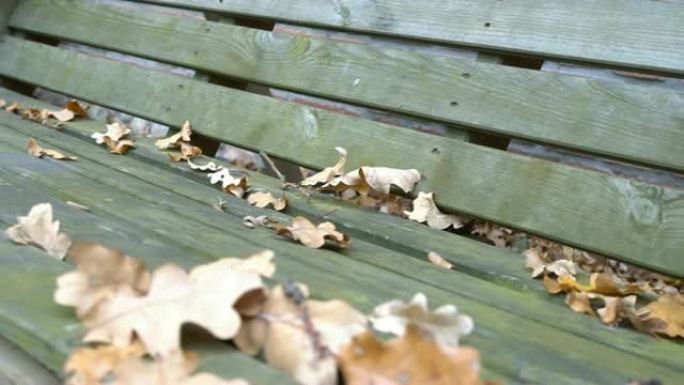 一个空虚的，悲伤的，古老的木制秋千在一年的秋天独自移动。你可以看到树木的落叶。