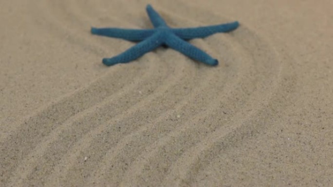 蓝色海星的近似值位于向地平线的沙质线上。