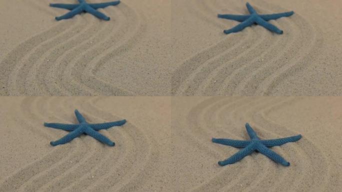 蓝色海星的近似值位于向地平线的沙质线上。
