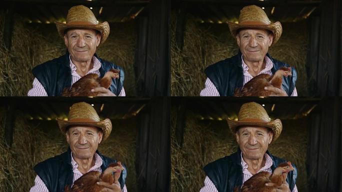 一位戴着草帽的老年农民拿着一只活鸡。干草背景上有一只鸡的男人的肖像