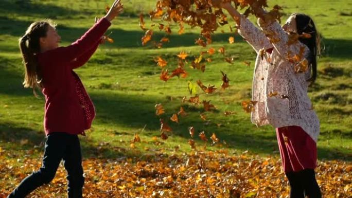 年轻美丽的母亲和她的小女儿在秋天的森林里玩得开心。他们跳起来，把树叶扔向空中。他们在笑。家庭幸福。慢
