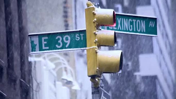暴风雪期间，纽约市的交通信号灯和39号和列克星敦大街路标被冰覆盖