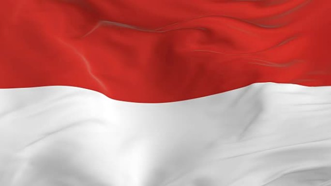 挥舞着环形旗帜作为背景印度尼西亚