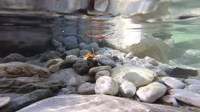 有石头和树叶的清山溪，饮用水质量，水下，阿尔卑斯山，上巴伐利亚，4k