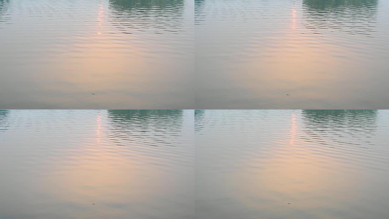 美丽的涟漪水，平静的波浪在其表面反射五颜六色的日落光
