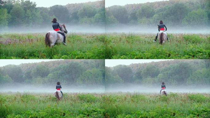 年轻骑手骑马跳上迷雾的背景美丽的大自然