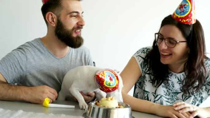 年轻夫妇庆祝狗的生日