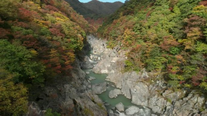 日本to木日光龙京谷和秋叶的鸟瞰图