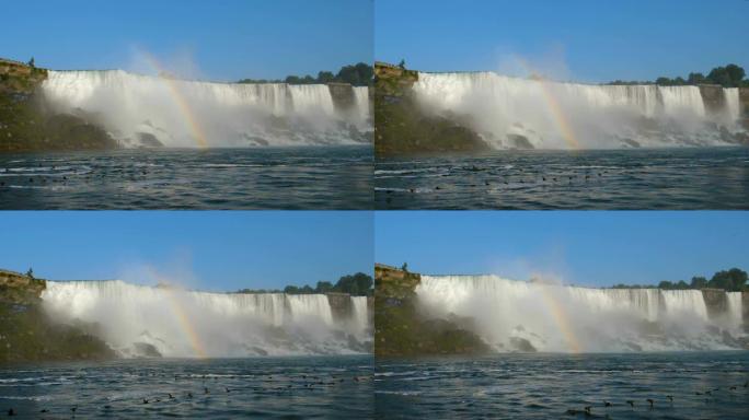 一群鸭子在水边飞。尼亚加拉瀑布。加拿大