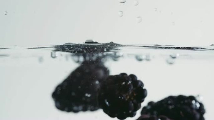 成熟的黑莓掉入水中