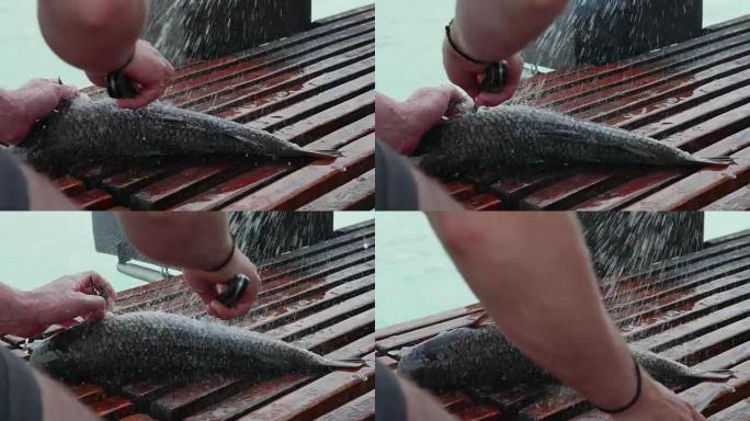 渔夫将渔船上的鱼切开特写