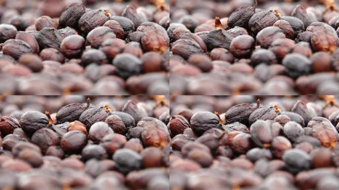 天然脱水发酵咖啡豆
