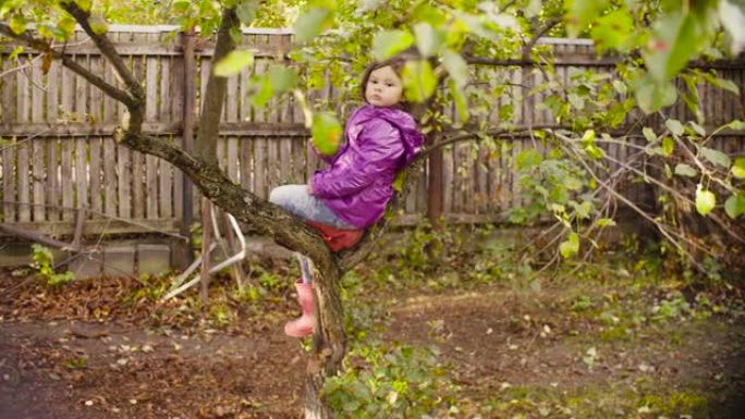 小女孩坐在树上吃苹果