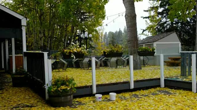 秋天，落雪覆盖了黄色的白杨叶覆盖了门廊区域
