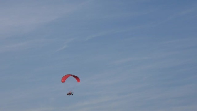红色机动滑翔伞与海鸥在天空飞行。