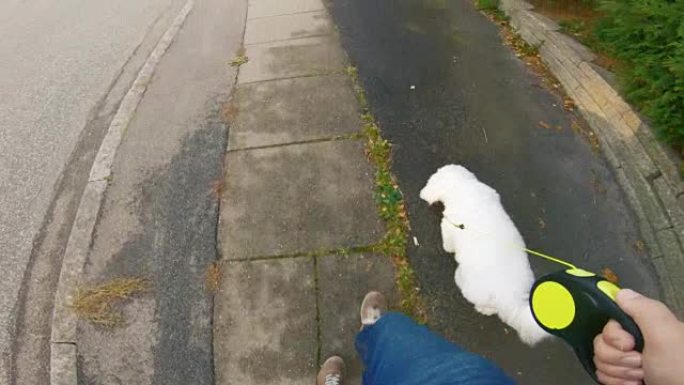 男人在人行道上walking狗的个人观点