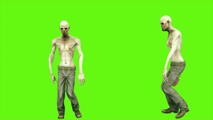 僵尸舞蹈-在绿色屏幕上分开。可循环。4k。