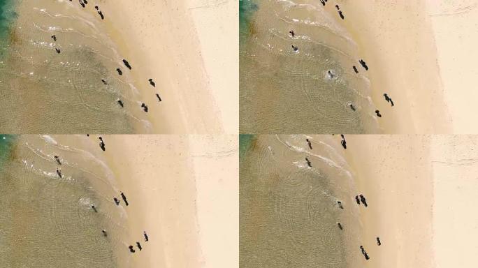 游客在海滩上的高空慢车上穿水而过的天线