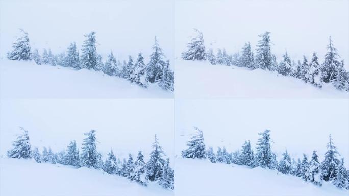 美丽的冬季风景，有雪覆盖的树木。冬季山脉。