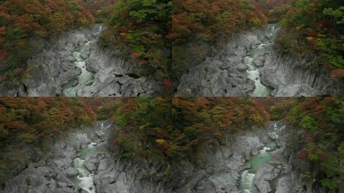 日本to木日光龙京谷和秋叶的鸟瞰图