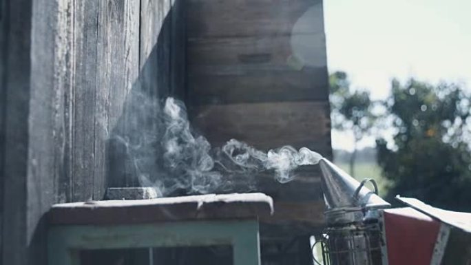 蜜蜂吸烟者和烟雾