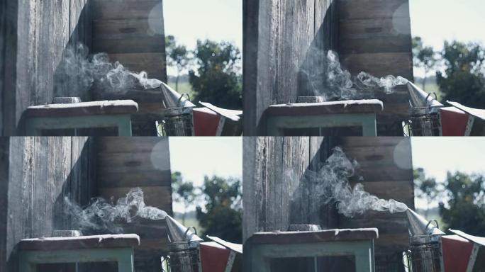 蜜蜂吸烟者和烟雾