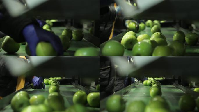 苹果工厂流程