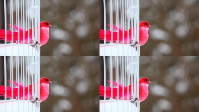 红色玩具鸟白色户外金属笼冬季雪高清镜头