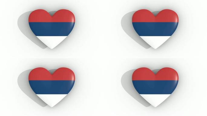 塞尔维亚国旗颜色的脉动心，白色背景，3d渲染顶部，循环
