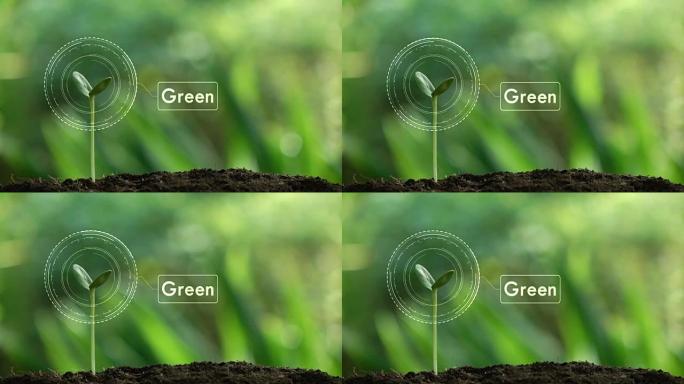 种树和绿色全息图，以拯救地球和自然，清洁自然生态。