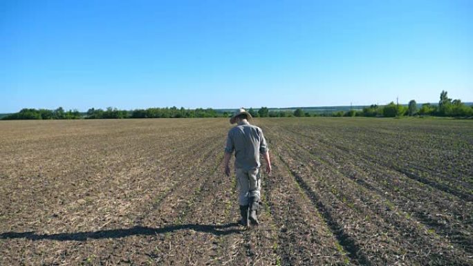 在阳光明媚的夏日，穿着帽子和衬衫的年轻男性农民穿过田地上的绿色小芽。