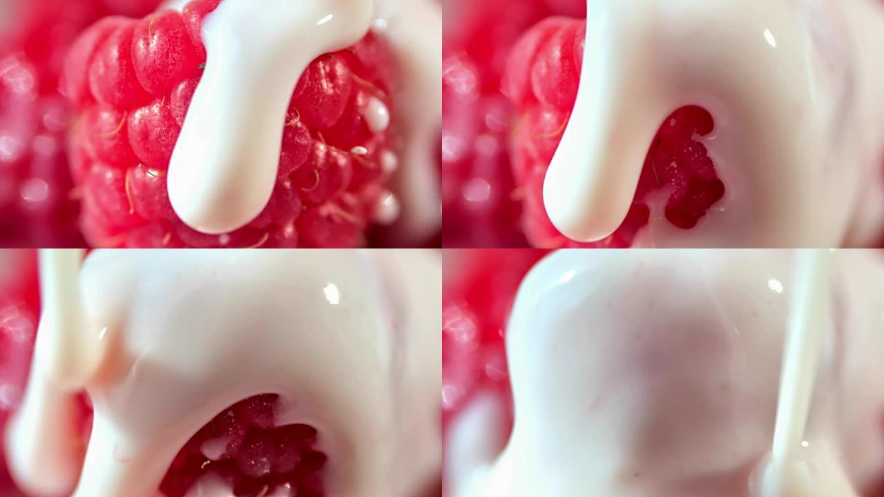 慢动作微距镜头在成熟的新鲜红树莓上倒入粘性白色酸奶或奶油或牛奶