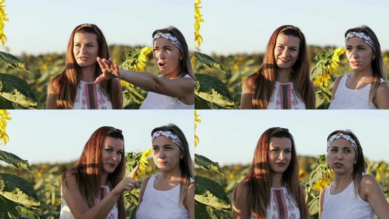 两个迷人的女人正站在一大片田野里，带着向日葵说话。