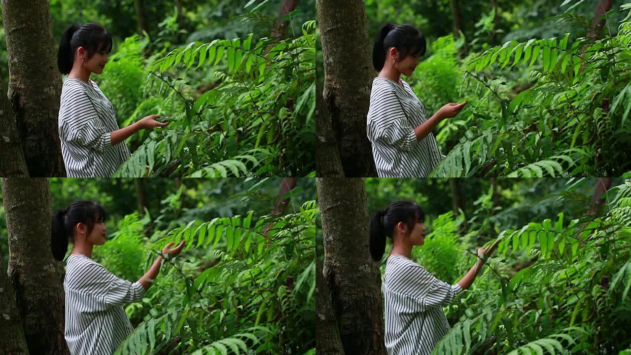 年轻女孩亚洲快乐微笑的手触摸绿树蕨在雨林地区的水秋天在自然公园。在户外放松时，树木背景模糊